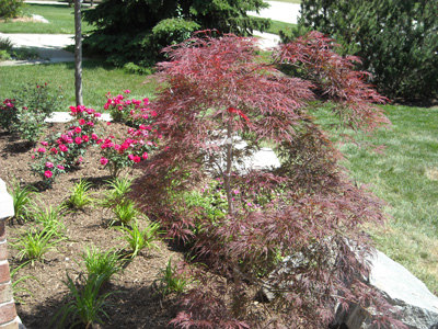 Troy Michigan LandscapePlantings and Design